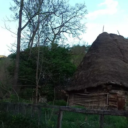 Vakantieboerderij Casa Din Prund Ocolis